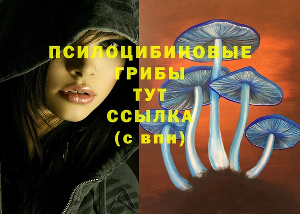 не бодяженный Волосово