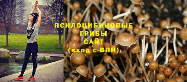 мдма Волоколамск