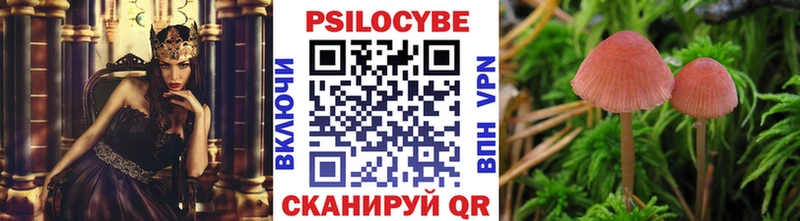 Галлюциногенные грибы Cubensis  Купить где  Новоульяновск 